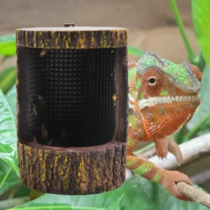 Reptile feeder, pet hunting dish, pet tank, eyelash horn guard, lizard chameleon breeding box, insect trap