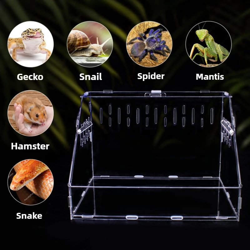 Acrylic Breeding Box with Thermometer Quail Turtle Lizard Transparent Terrarium Reptile Mantis Crawler Box Reptiles Pet Houses - Image 3