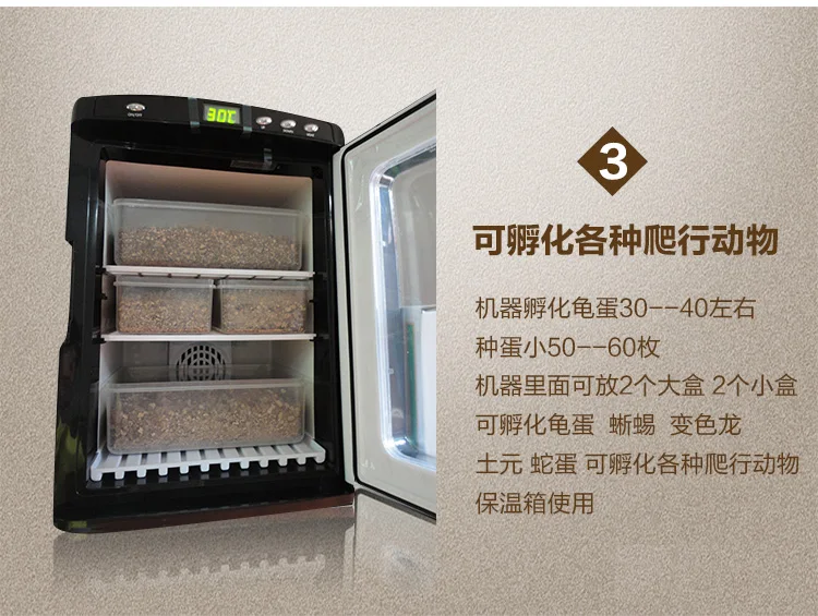 Mini Turtle Egg Automatic Incubator Reptile Hatcher for Lizards Portable Car Fridge with Cooling Heating 12V Reptile Incubator - Image 4