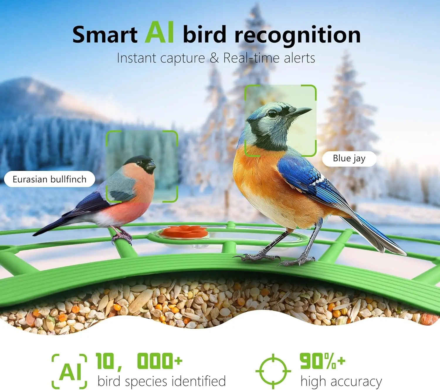 4MP 2.5K WIFI Bird feeder Camera Real Time Bird watching APP Full color Night Vision Smart AI bird recognition with Solar Panel - Image 2