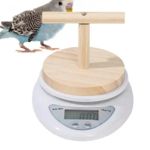 Parrot Scale Small Animal Scale With Perch For Pet Bird Convenient Weight Changing Monitoring Tool For Medication Milk Powder