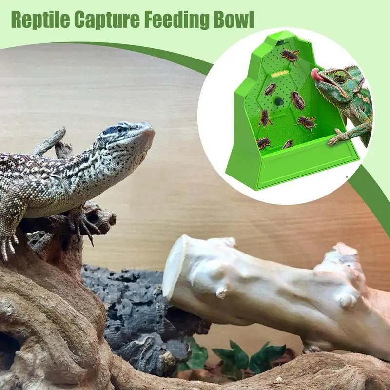 Chameleon Feeder Reptile Food Dish Hunting Bowl Anti-Escape Feeder For Snake Frog Tortoise Bearded Dragon Spider Amphibian - Image 3
