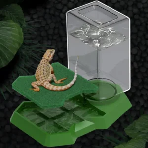 Reptile Water Bottle Automatic Reptile Water Dish With Bottle Tortoise Turtle Water Dispenser Lizard anti drowning water feeder