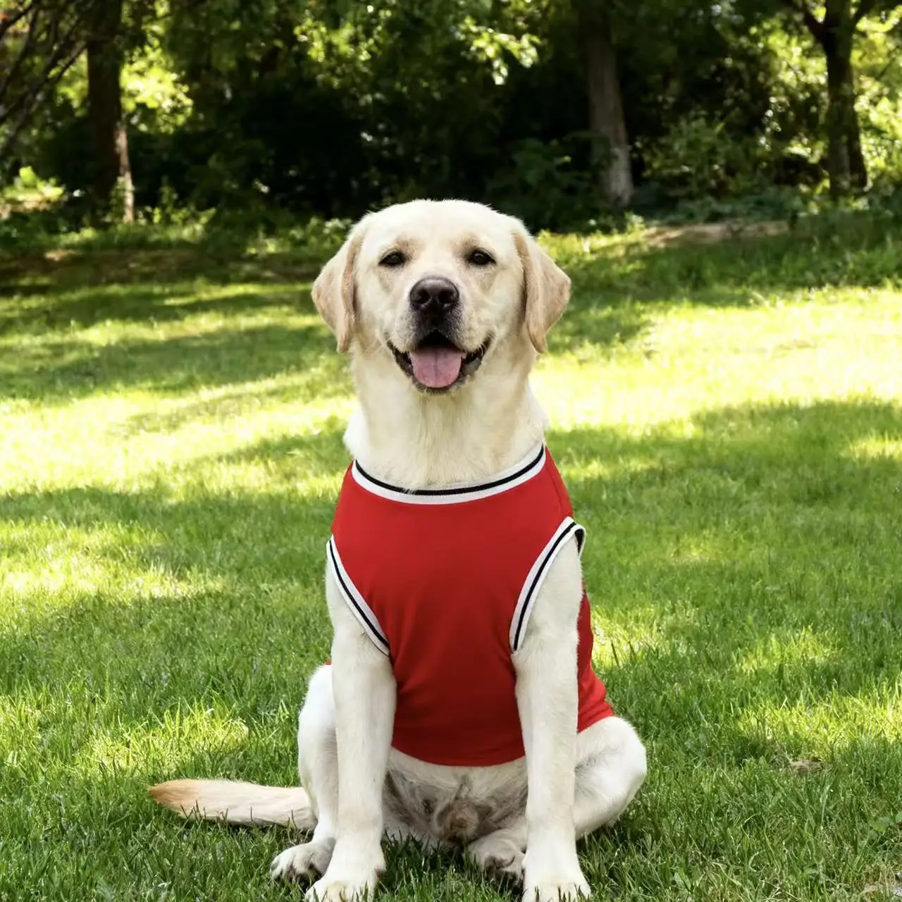 Summer Cooling Pet Dog Mesh Vest Chicago Soft Basketball Clothes Summer Casual Shirt For Medium Large Dog Labrador Pet Clothing - Image 5