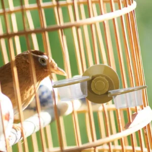 Hanging Reptile Feeding Dish Bowl for Turtle Lizard Snake Easy Install Detachable Food Water Holder Space Saving ABS Pet Supply