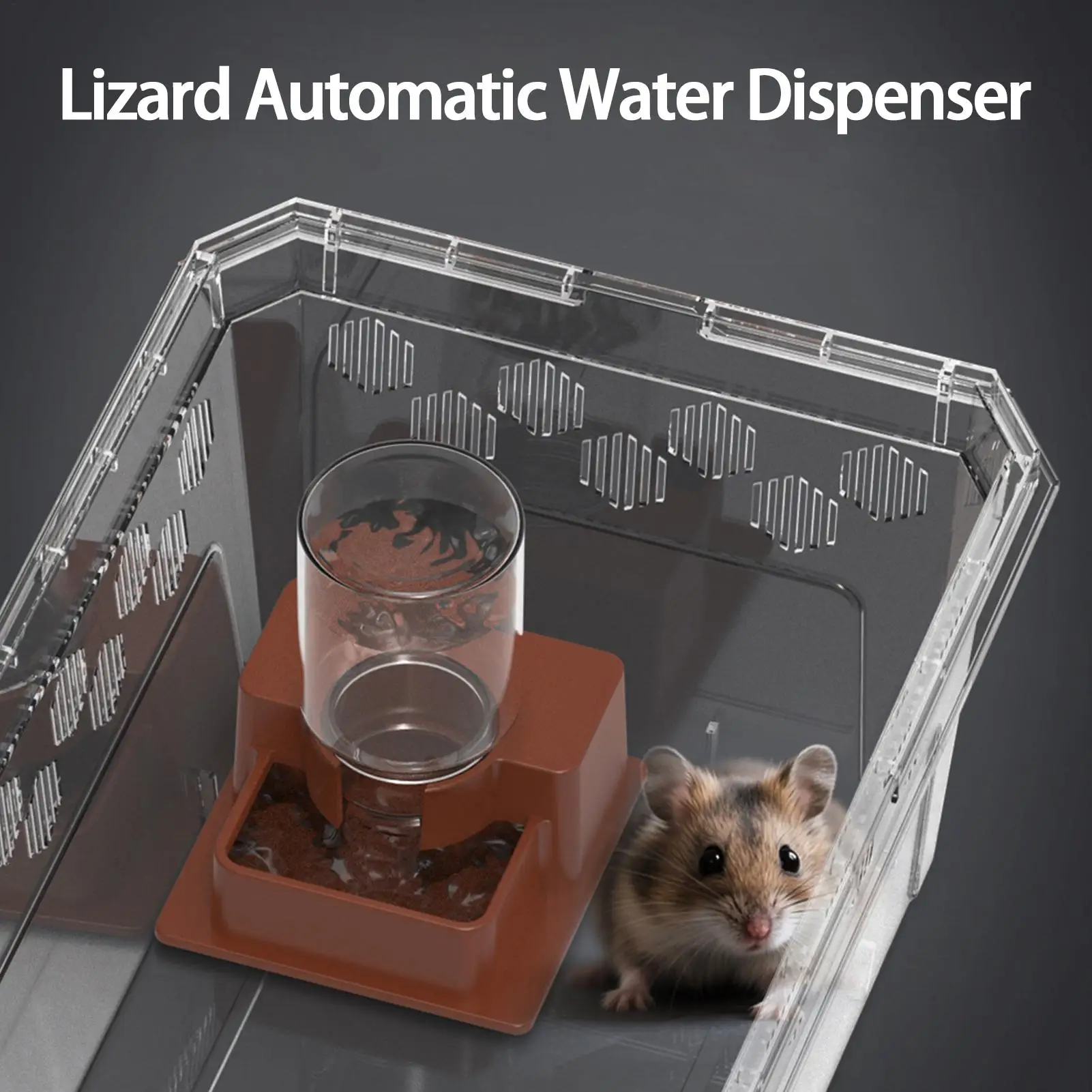 Reptile Feeder Automatic Detachable Reptile Bowl Tortoise Water Dish Gecko Drink Dispenser For Lizard Chameleon Pet supplies