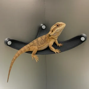 New Lizard Hammock Reptile Mesh Breathable Rest Play Decorative Platform Summer Cool Little Nest Small Pet Supplies