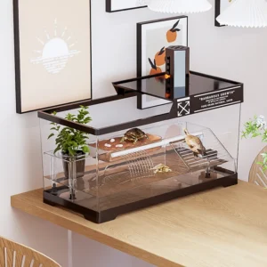 Reptile Terrariums Desktop Ecological Tank Amphibious Transparent Landscaping Terrariums Turtle Tarantulas Geckos Breeding Box