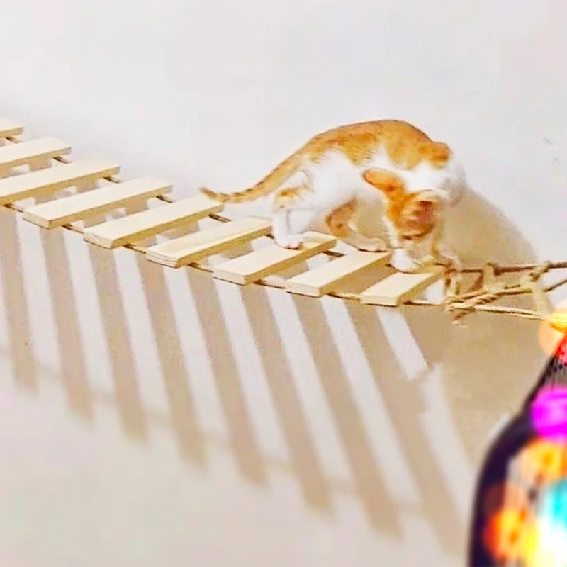 Toys Wall-mounted Activity Cat Wood Sisal Scratcher Climber Furniture Cat Bridge Rope Steps Kitten Ladder Kitten Post Wall - Image 3