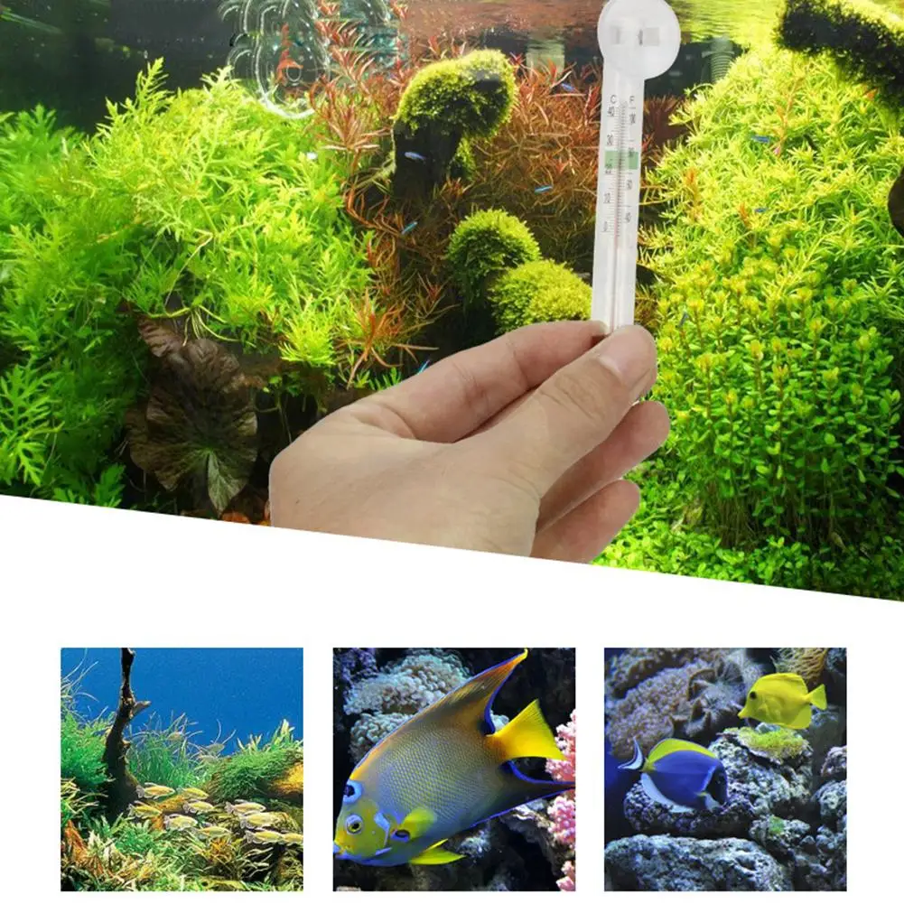 Fish Tank Temperature Meter Indoor Outdoor Fish Tank Vertical Hygrometer Household Floating Water Temperature Monitor for - Image 5