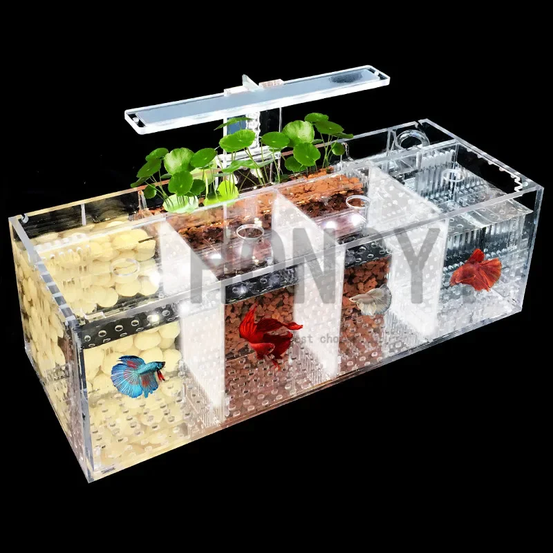 HONGYI 1 piece acrylic bettas cylinder isolated fish tank tilted water pump breeding cylinder baby betta tank guppy breeding - Image 2