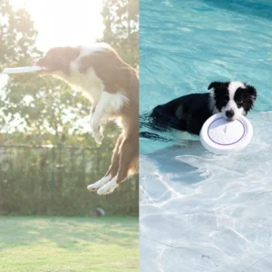 Silicone Flying Saucer Fun Toy for Dogs and Cats, Bite-resistant, Suitable for Outdoor Training and Interactive Pet Supplies.