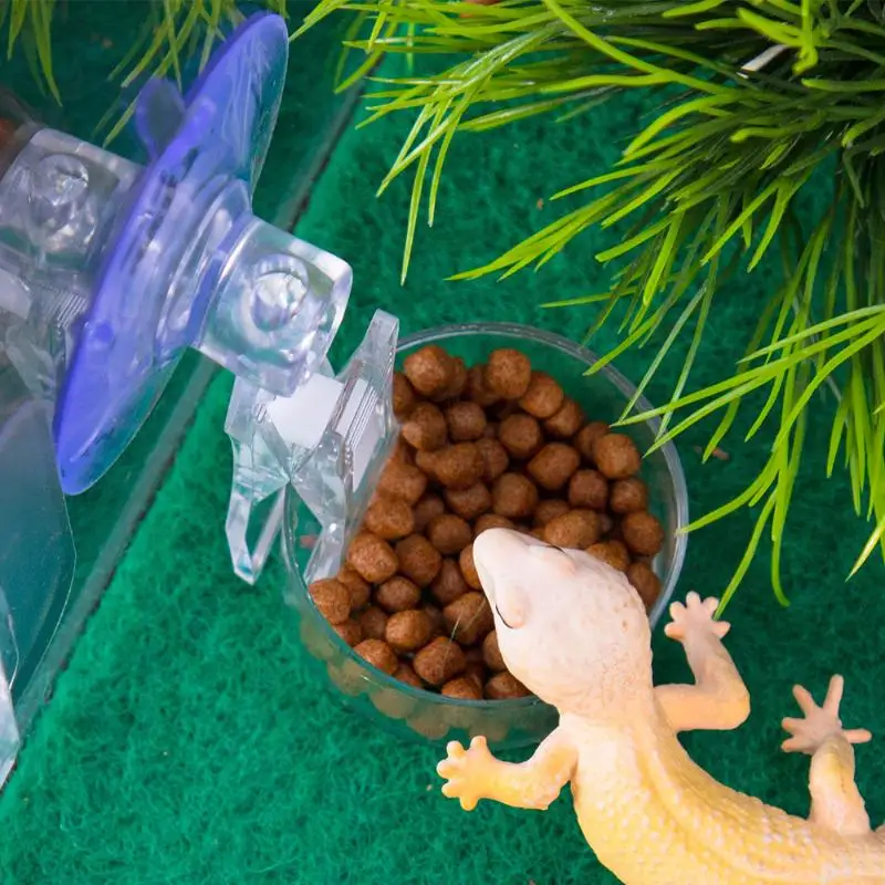 New Reptile Water Food Bowl Suction Cup Food Tray Gecko Reptile Lizards Spider Tree Frogs Feeder Habitat Decoration Pet Supplies