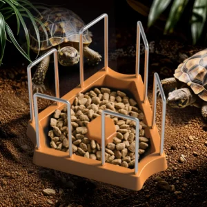 Land turtle feeding basin, fence design to prevent trampling and competition, turtle feeding basin, water basin