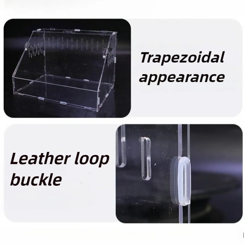 Acrylic Breeding Box with Thermometer Quail Turtle Lizard Transparent Terrarium Reptile Mantis Crawler Box Reptiles Pet Houses - Image 6