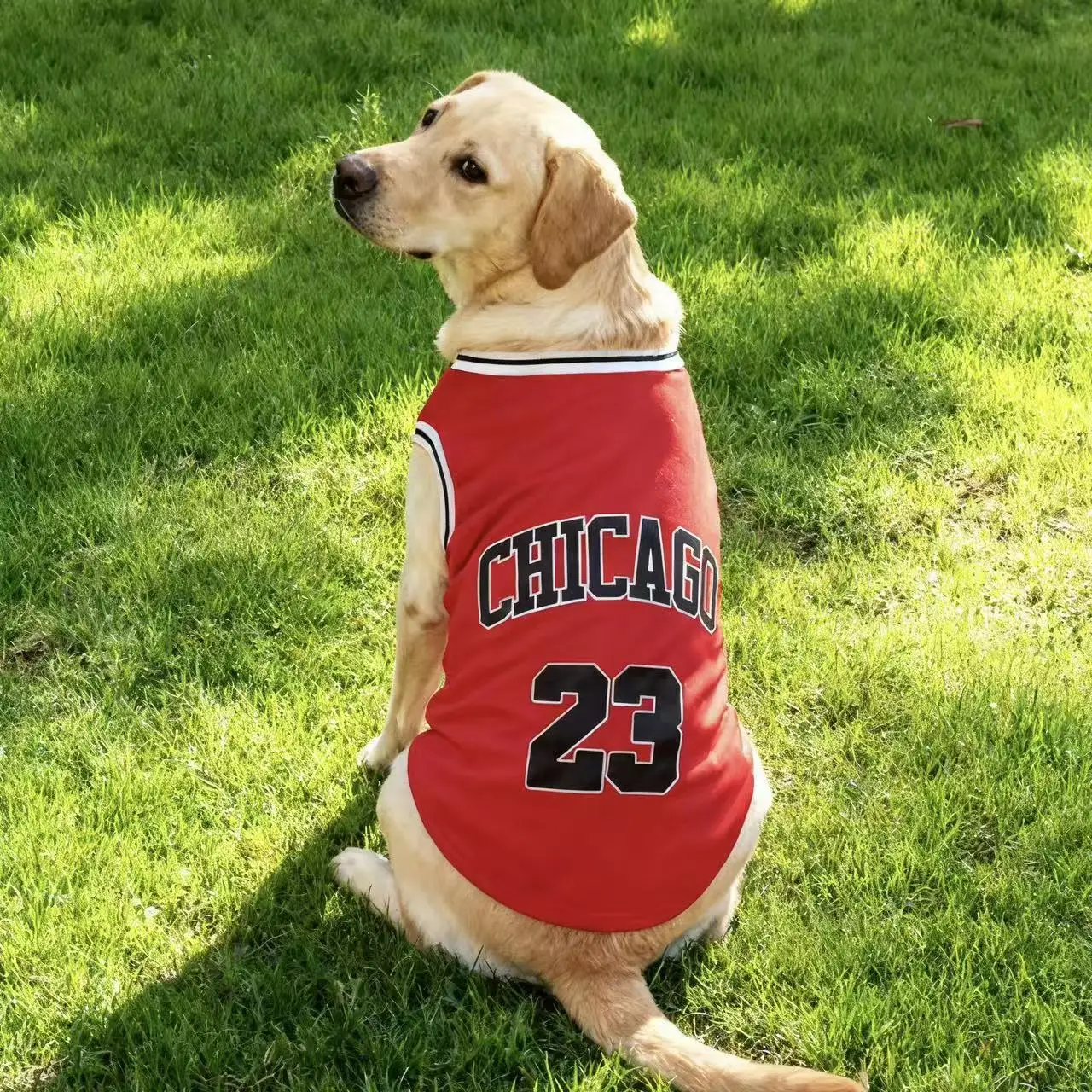 Summer Cooling Pet Dog Mesh Vest Chicago Soft Basketball Clothes Summer Casual Shirt For Medium Large Dog Labrador Pet Clothing - Image 7