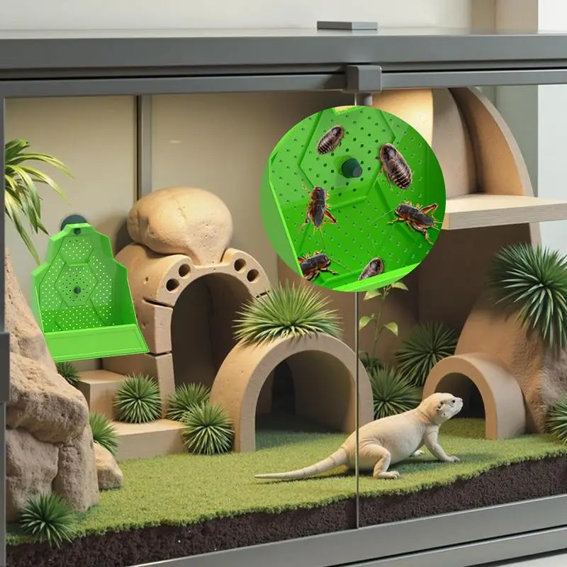 Chameleon Feeder Reptile Food Dish Hunting Bowl Anti-Escape Feeder For Snake Frog Tortoise Bearded Dragon Spider Amphibian - Image 2