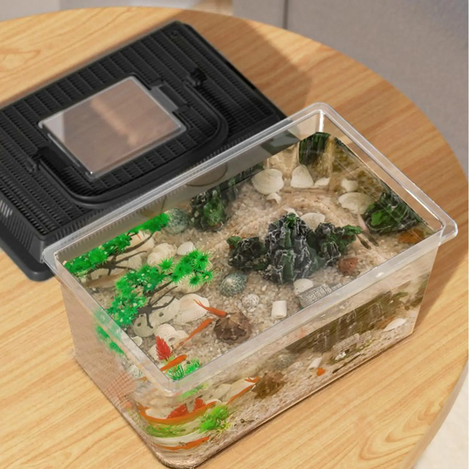 Reptile Terrarium Reptile Feeding Box Lizard Tarantula Transparent Portable Feeding Box Habitat Hatching Critter Carrier - Image 4
