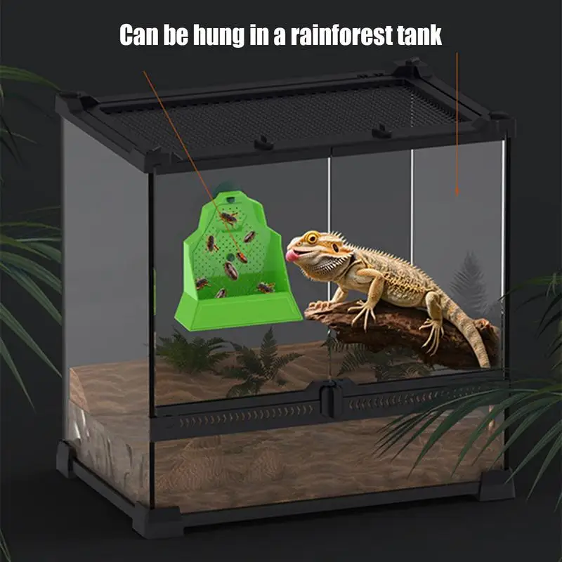 Chameleon Feeder Reptile Food Dish Hunting Bowl Anti-Escape Feeder For Snake Frog Tortoise Bearded Dragon Spider Amphibian - Image 4