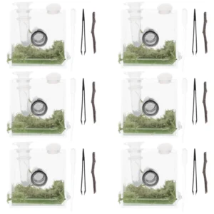 2 Sets Jumping Spider Enclosure Boxes Transparent Acrylic Insect Breeding Case Ventilation Hole Reptile Terrarium Pet Habitat