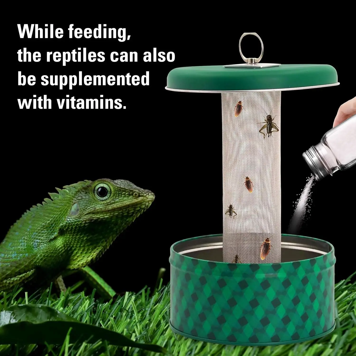 Bearded Dragon Feeder Chameleon Bug Bowl Reptile Feeder Box Wall-Mounted Insect with Suction Cups Tank and Aquarium Accessories - Image 5