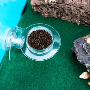 Acrylic Crawling Pet Feeding Water Bowl with suction cup Turtle Lizard Scorpion Snake Bird Hamster Feeding Food Bowl