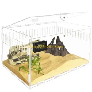 AXYC Reptiles Feeding Box Acrylic Terrariums Container for Spiders Small Lizards