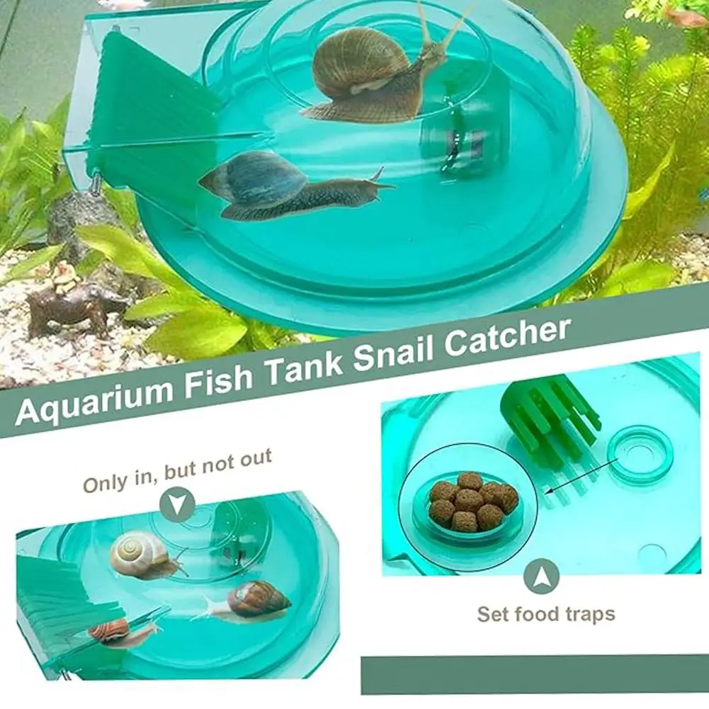 Transparent Lightweight Snail Catcher for Aquarium Small Aquarium Cleaning Tool Planaria Removal Accessory - Image 2