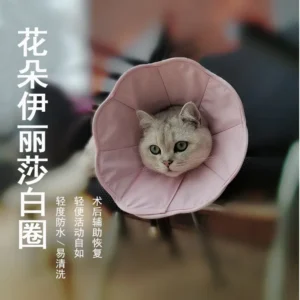 Pet Collar Soft Ring Cat Dog Wound Healing Anti-Scratch Anti-Licking Headgear Cotton Elizabeth Neck Collars Pet Supplies