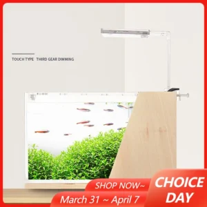 Creative Desktop Fish Tank Water-Free Side Filter Acrylic Fish Bowl Aquarium Small Ecological Micro Landscape for Office Home