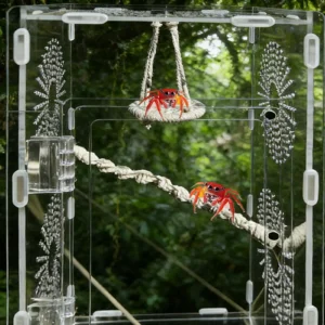 Jumping Spider Enclosure Accessories Hangable Rope Climbing Swing Jumping Spider Terrarium Decor For Terrarium Breeding Geckos