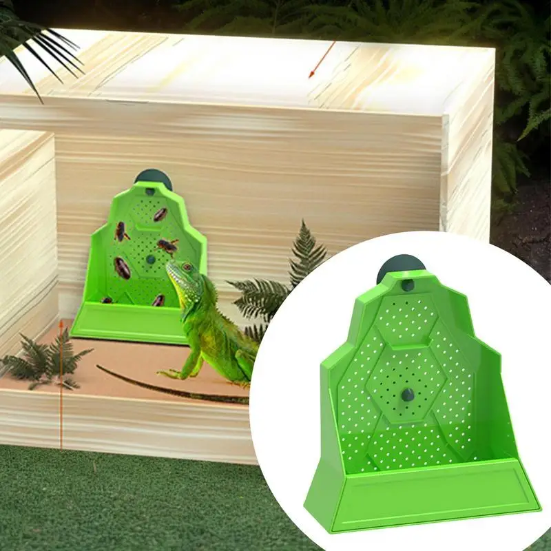 Chameleon Feeder Reptile Food Dish Hunting Bowl Anti-Escape Feeder For Snake Frog Tortoise Bearded Dragon Spider Amphibian - Image 5