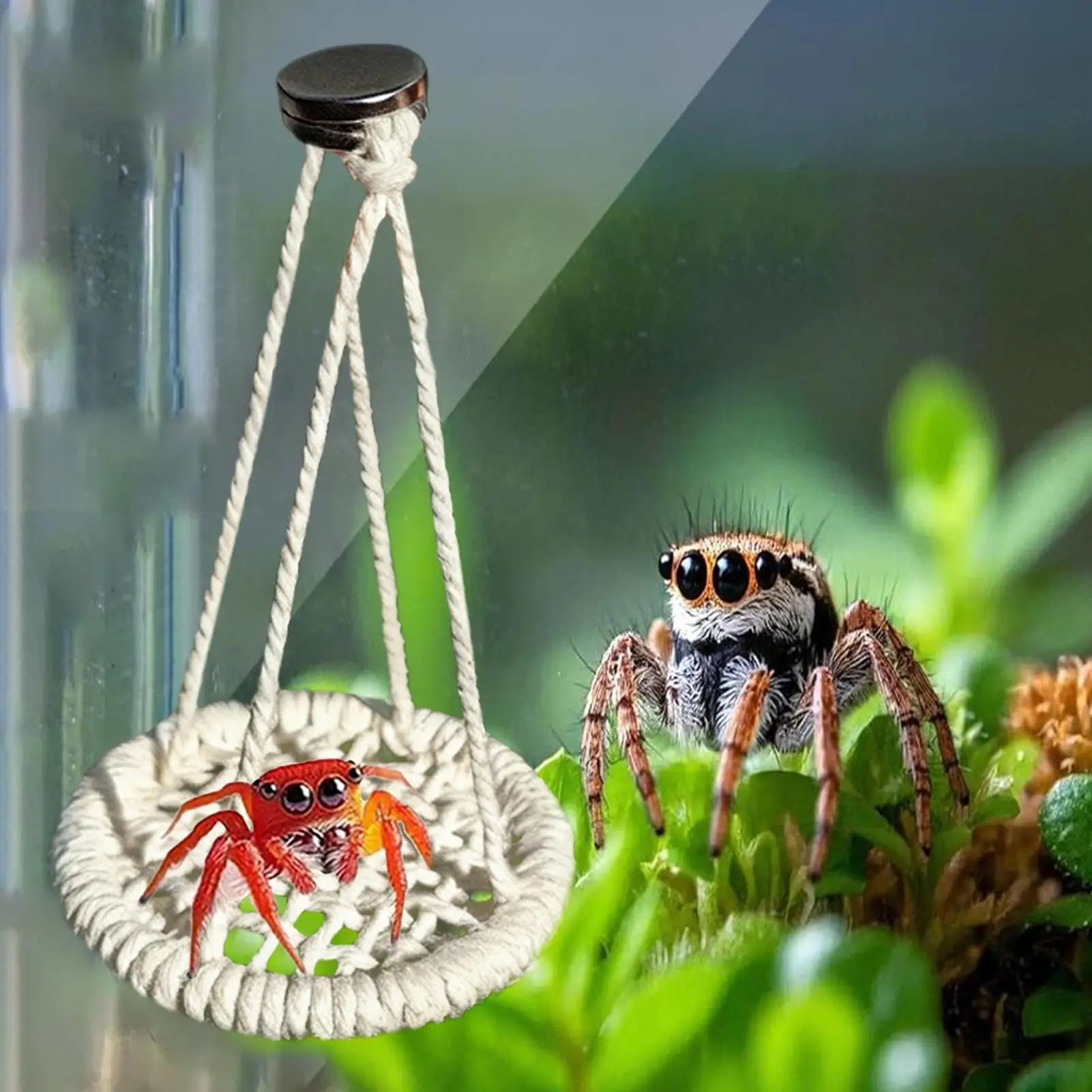 Jumping Spider Enclosure Accessories Hangable Rope Climbing Swing Jumping Spider Terrarium Decor For Terrarium Breeding Geckos - Image 4