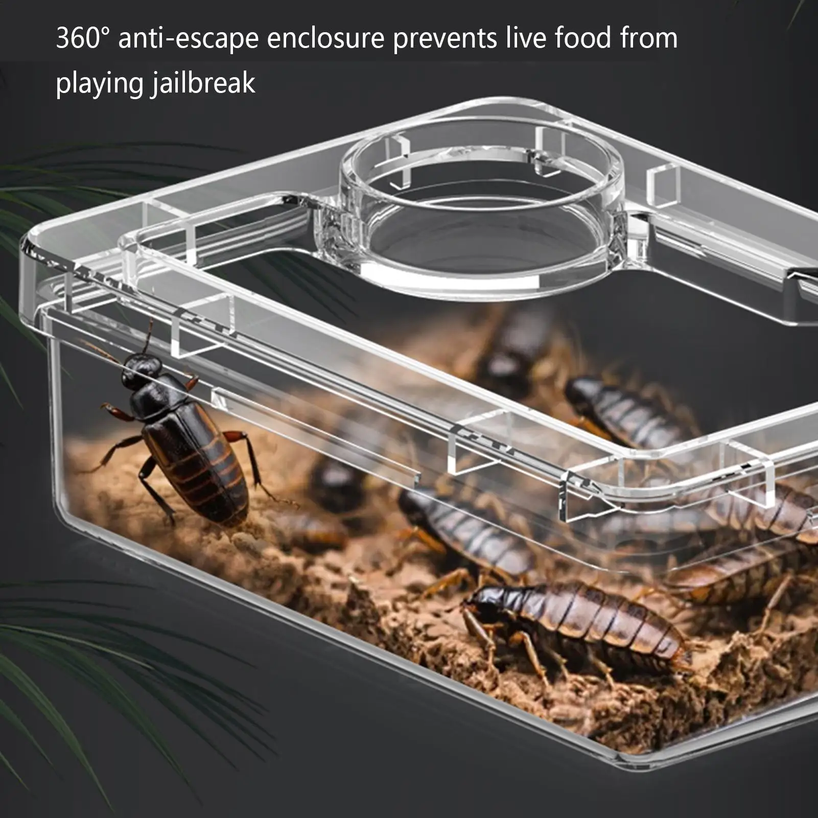 Chameleon Feeder Bearded Dragon Food Bowl Small Animal Feeders For Spider Lizard Tortoise Cage Tank Chameleon Habitat Terrarium - Image 3