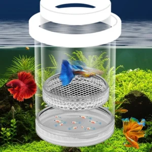 Floating Fish Breeding Isolation Box Fish Tank Hatching Incubator Small Fish Birthing Room Incubator Aquarium Breeder Tools