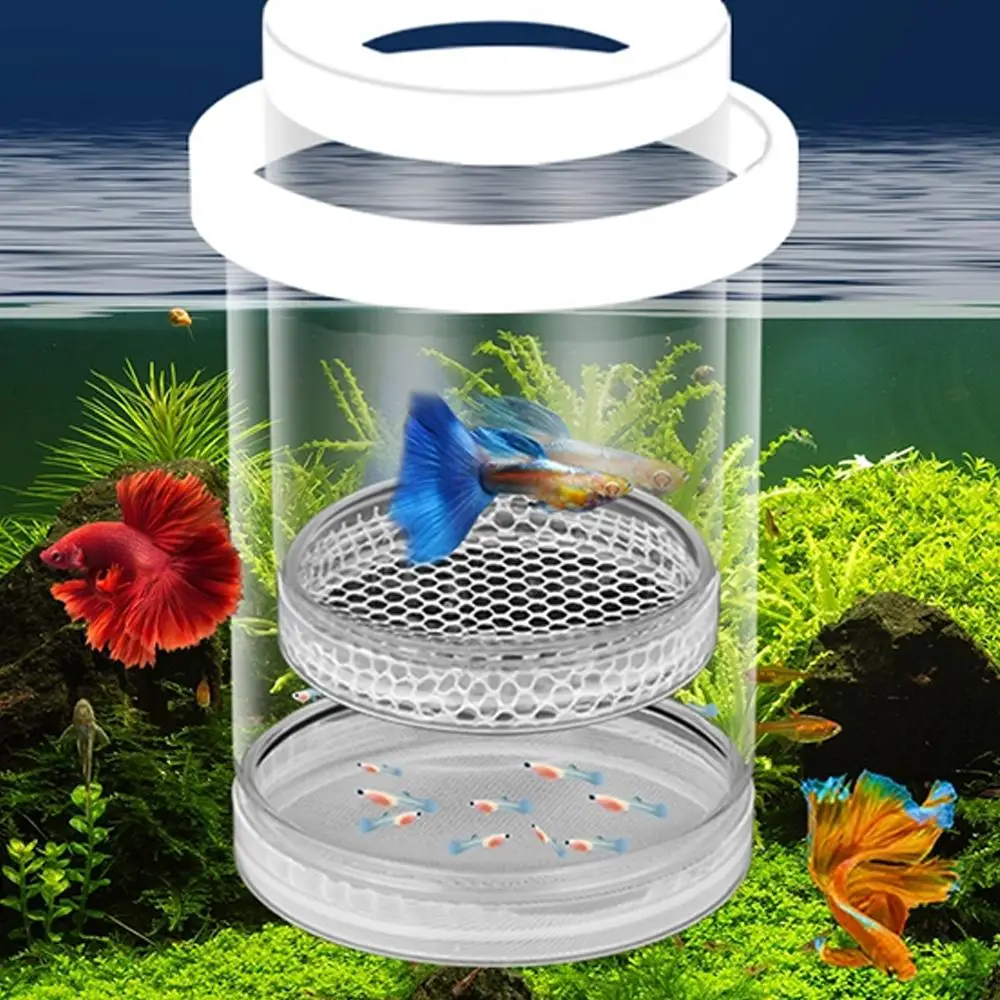 Floating Fish Breeding Isolation Box Fish Tank Hatching Incubator Small Fish Birthing Room Incubator Aquarium Breeder Tools