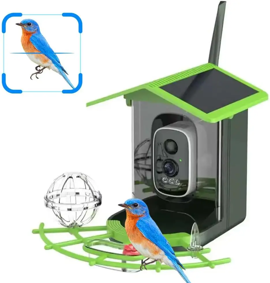 4MP 2.5K WIFI Bird feeder Camera Real Time Bird watching APP Full color Night Vision Smart AI bird recognition with Solar Panel - Image 6