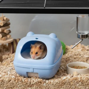 Hamster Bathroom Reptile Hideout House Toilet Combo Anti-slip Bottom Dust Resistant Bathing Accessories For Small Pets Gerbils