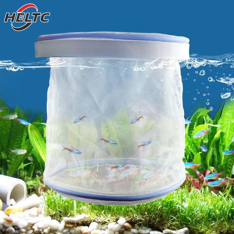Aquarium Isolation Box Fish Hatchery Net Fish Tank Breeding Isolation Hatching Net Small Fry Breeding Box Fish Care Supplies - Image 6