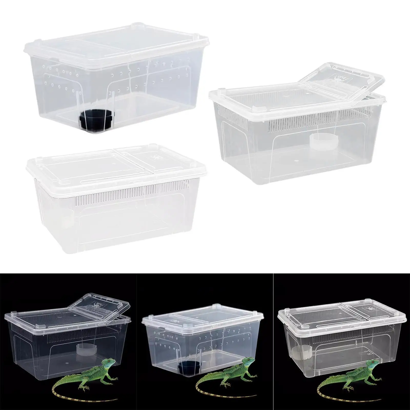 Reptile Feeding Box Hatching Container Cage Transparent House Breeding Box for Frog Turtle Bearded Dragon Scorpion Snake - Image 2