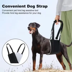 Adjustable Dog Sling for Back Legs Support Rehab Harness for Weak Rear Legs Pet Aid Assist Tool for Elderly Dog