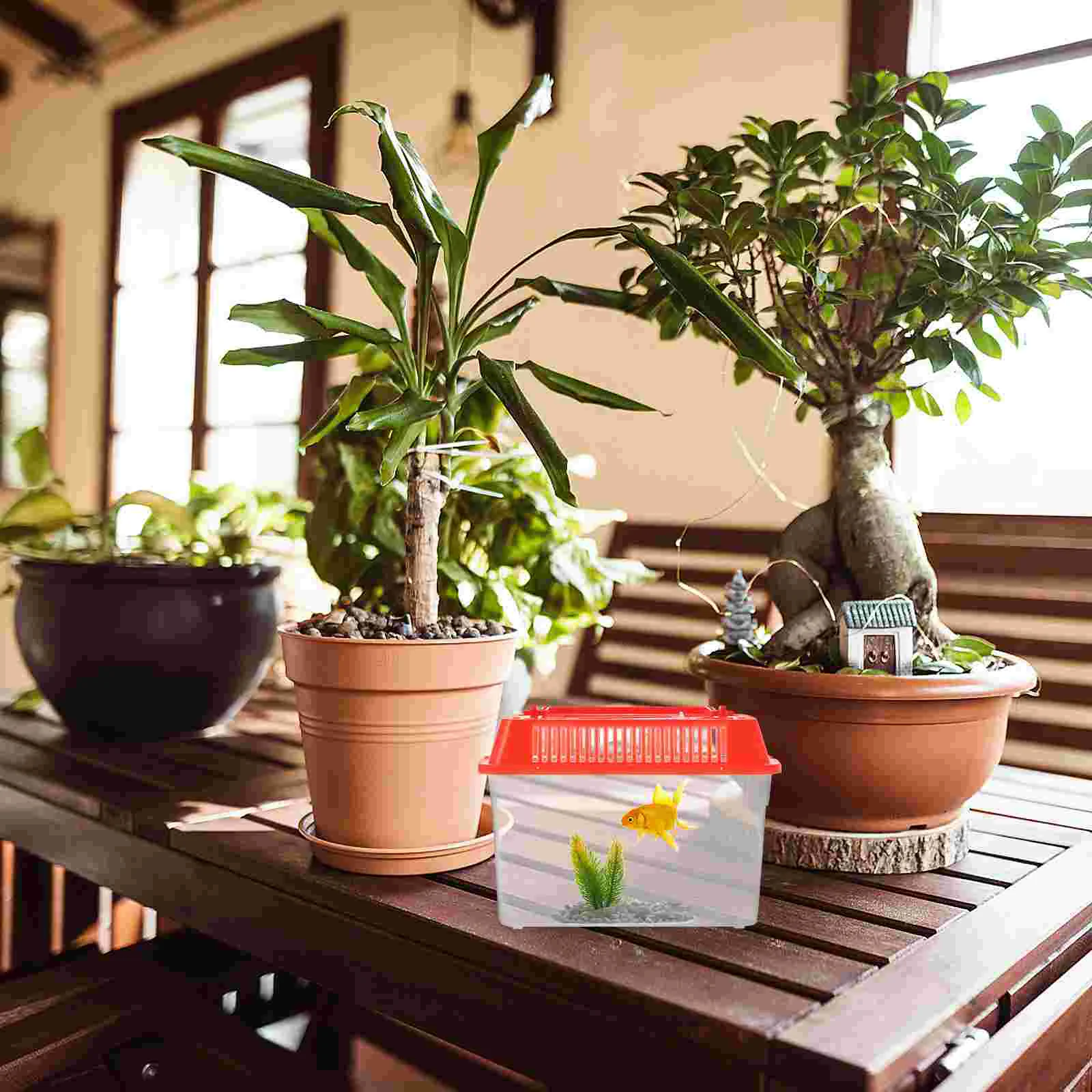 Mini Fish Tank Plastic Handheld Fish Tank for Turtle and Pet Fish (Red - Lid for Random) - Image 4