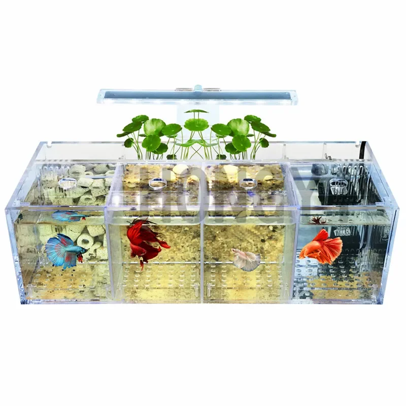HONGYI 1 piece acrylic bettas cylinder isolated fish tank tilted water pump breeding cylinder baby betta tank guppy breeding - Image 5
