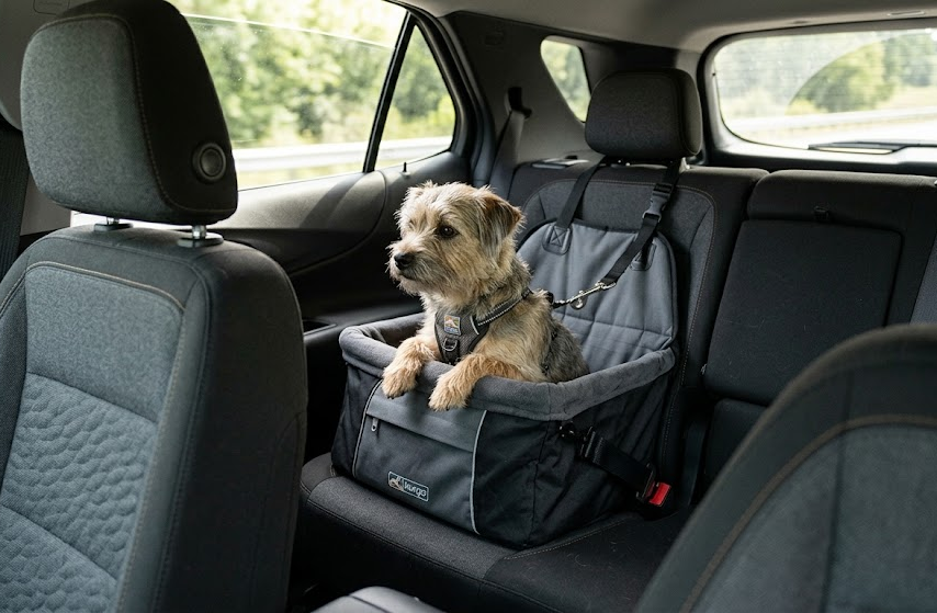Dog Booster Seat vs Seat Belt Harness: Which Is Better for Small Dogs in the Car?
